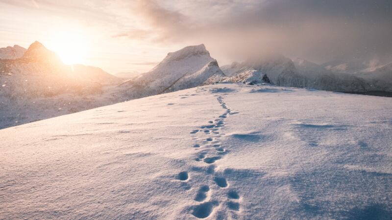 FILE -- Rescuers in Colorado say a hiker missing since August has been found dead with his dog...